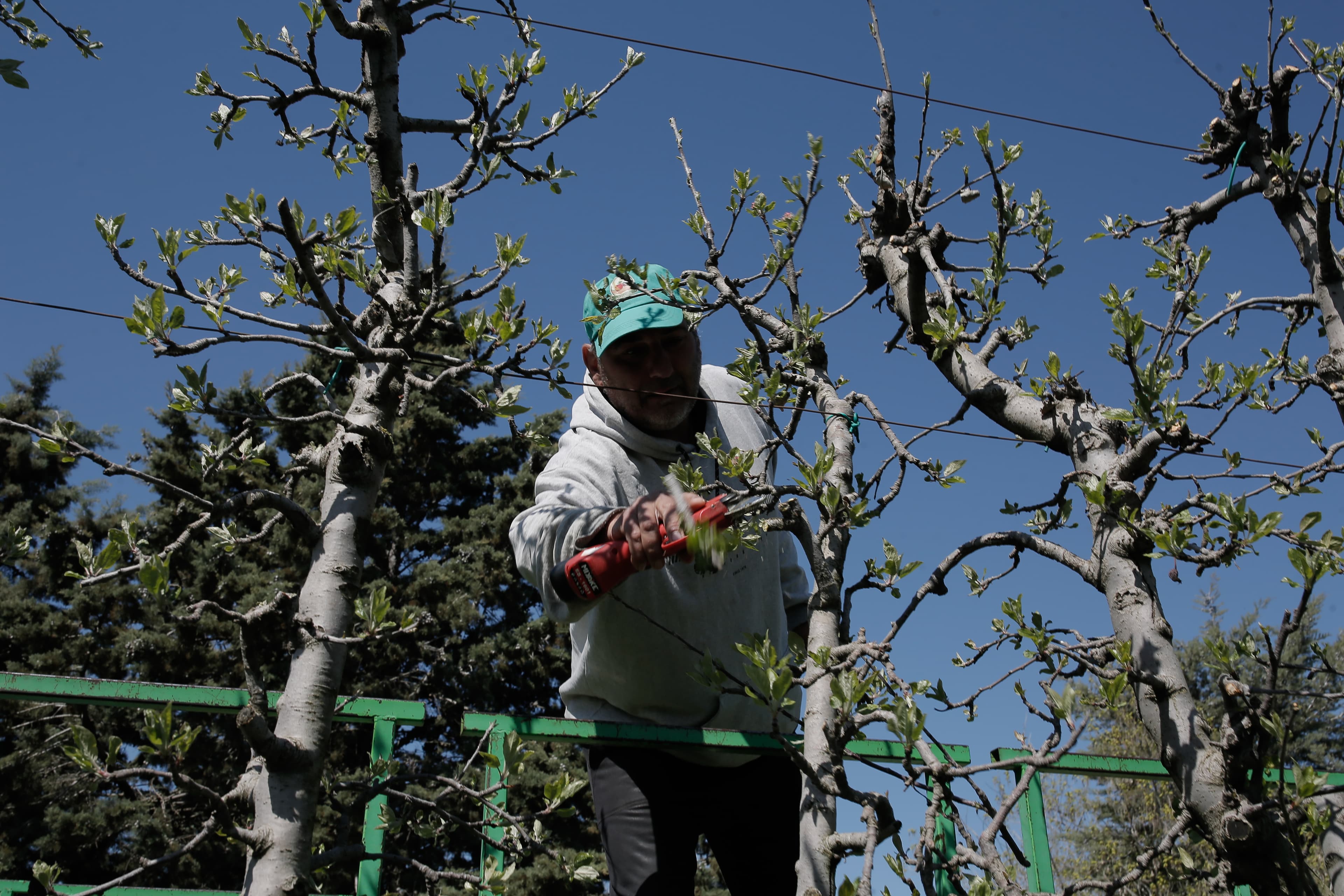 SkillsCamp Kozani 2025 – 15